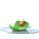 pool leaf icon