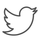social, animal, bird, media, twitter icon