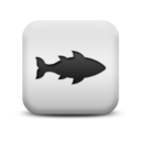 animal,fish icon