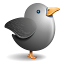 twitter bird grey icon