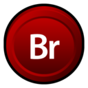 Adobe Bridge CS 3 icon