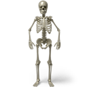 Skeleton, Standing icon