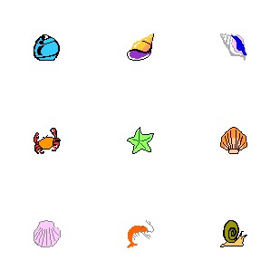 Seashells icon sets preview