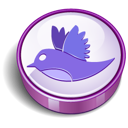 Bird, Twitter icon