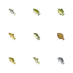 Fish icon sets preview