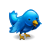 Animal, Bird, Blue, Twitter icon