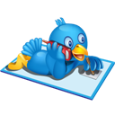 Phone, Twitter icon