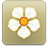 magnolia icon