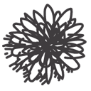 illustrator icon