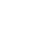 skype icon