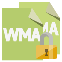 wma, format, file, lock icon