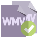 wmv, file, checkmark, format icon