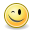 face, wink icon