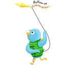 bird, twitter icon