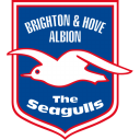Brighton Hove Albion icon
