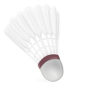 Badminton Shuttlecock icon