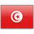 flag, country, tunisia icon
