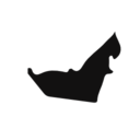 United Arab Emirates country map silhouette icon