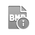 file, format, bmp, info icon