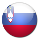 Slovenia Flag icon