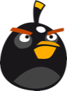 angry birds, black bird icon