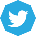 octagon, twitter icon