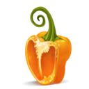pepper icon