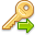 Go, Key icon