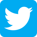 twit, twitter bird, twits, twitter, tweet icon