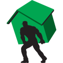 carry home green icon