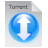 File, Torrent icon