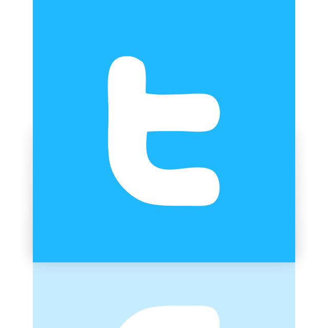mirror, alt, twitter icon
