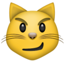 cat icon