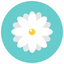 nature, chamomile, aroma, blossom, daisy, flower, flowers icon