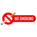 No Smoking Signs icon