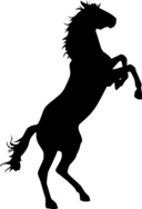 Wild horse black silhouette icon