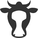 Animals Cow icon