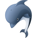 animal, dolphin icon