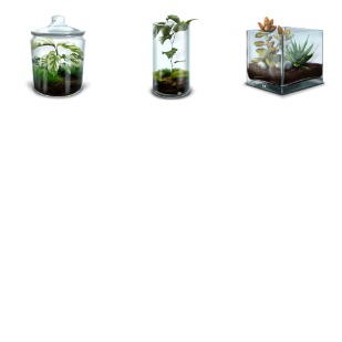 Terrarium icon sets preview