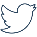 media, bird, tweet, twitter, connection, social, network icon