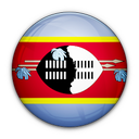 flag, of, swaziland icon