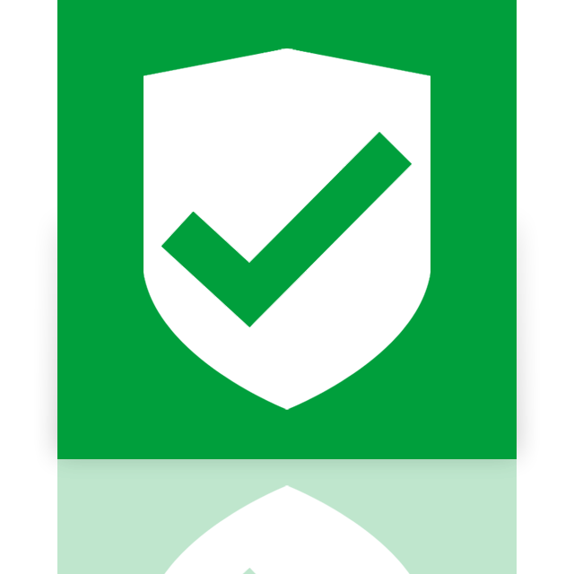 approved, security, mirror icon