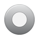 button, grey, rec icon