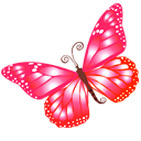 Butterfly, Pink icon