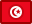 tunisia, flag icon