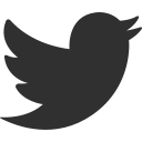 tweet, social media, animal, social, bird, twitter icon