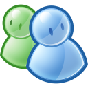 MSN icon