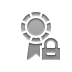 lock, certificate icon
