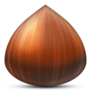 nuts icon