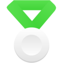 silver metal green icon
